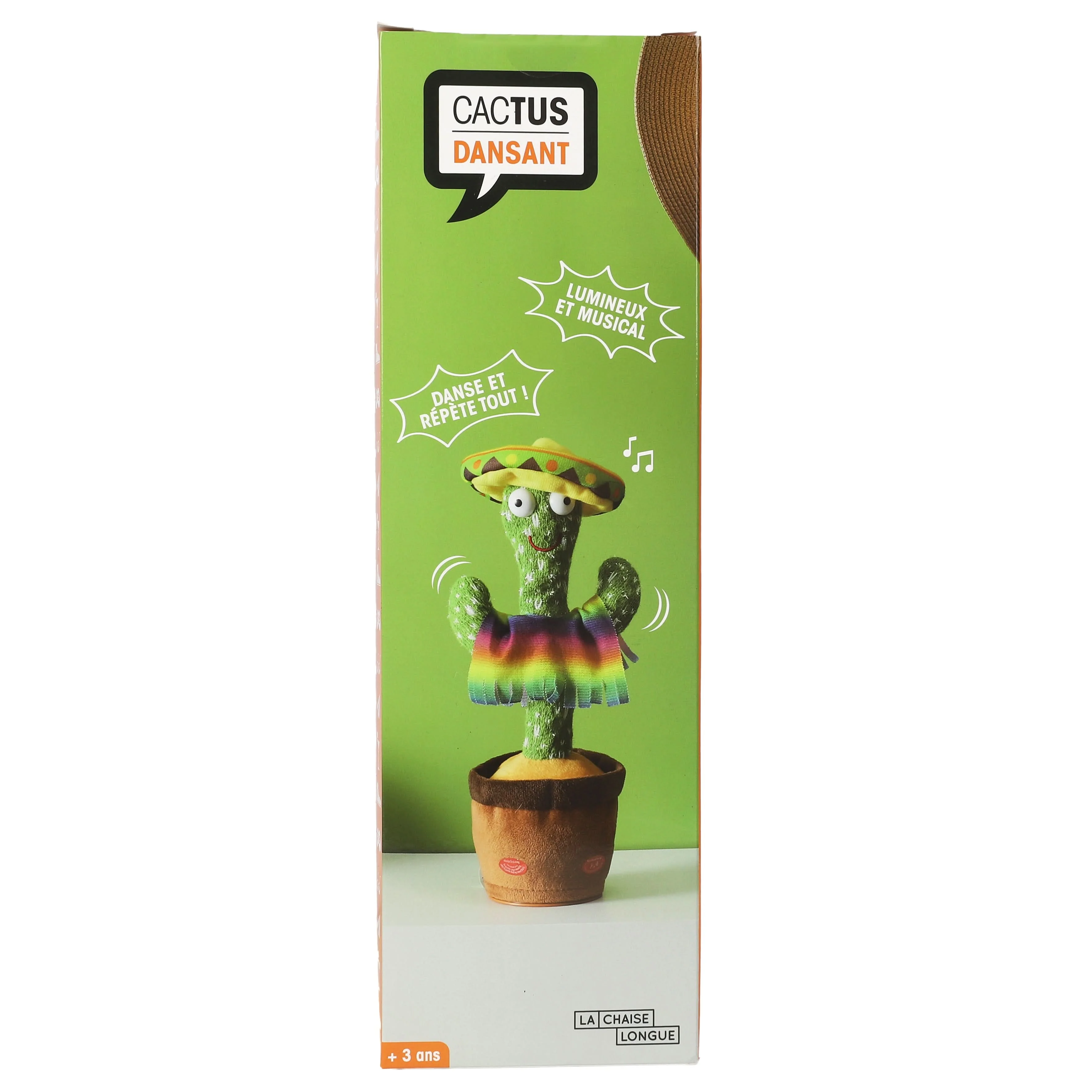 CACTUS DANSANT - Image 6