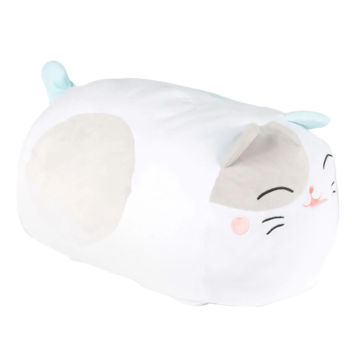 COUSSIN CHAT - Image 5