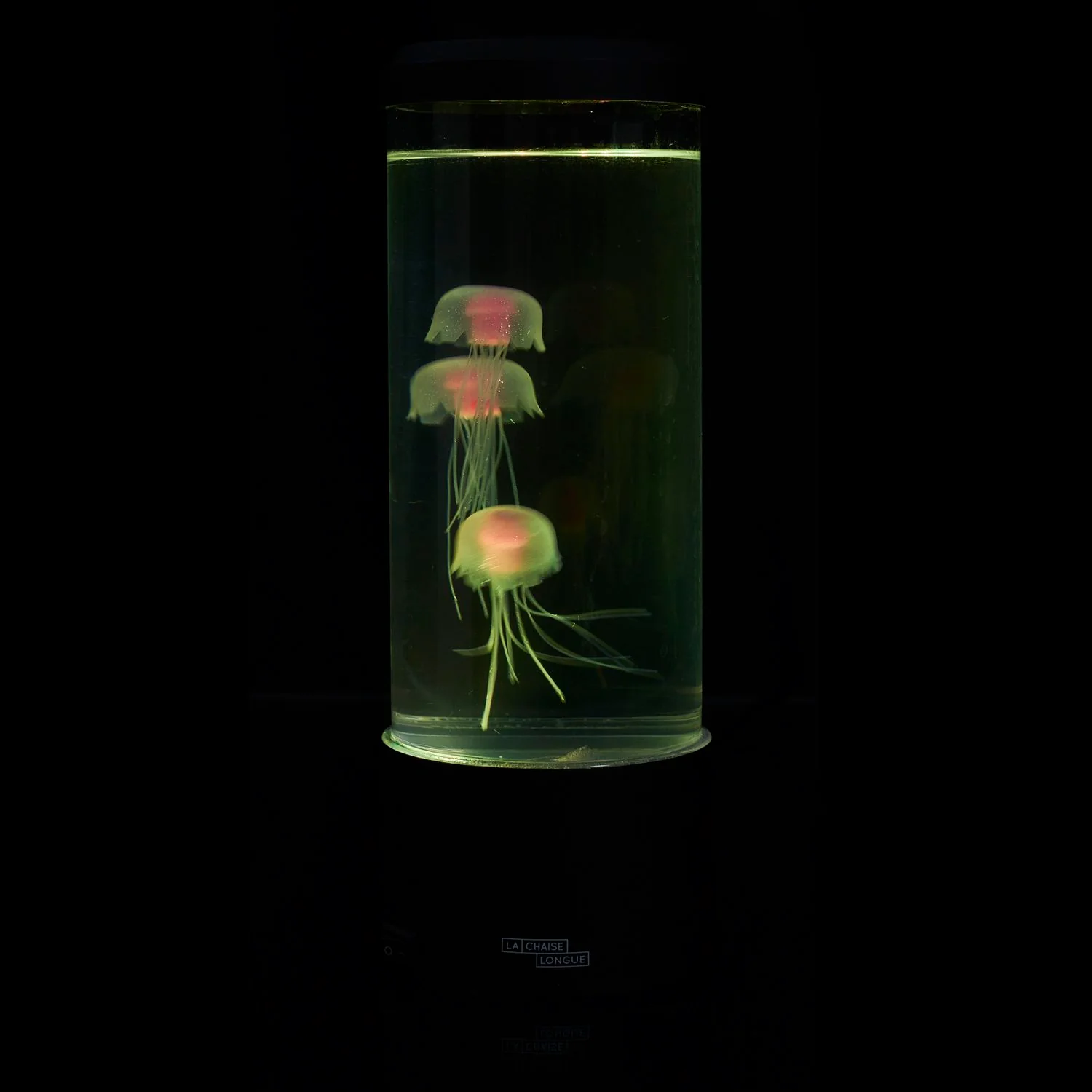 LAMPE AQUARIUM JELLYFISH 22CM - Image 9