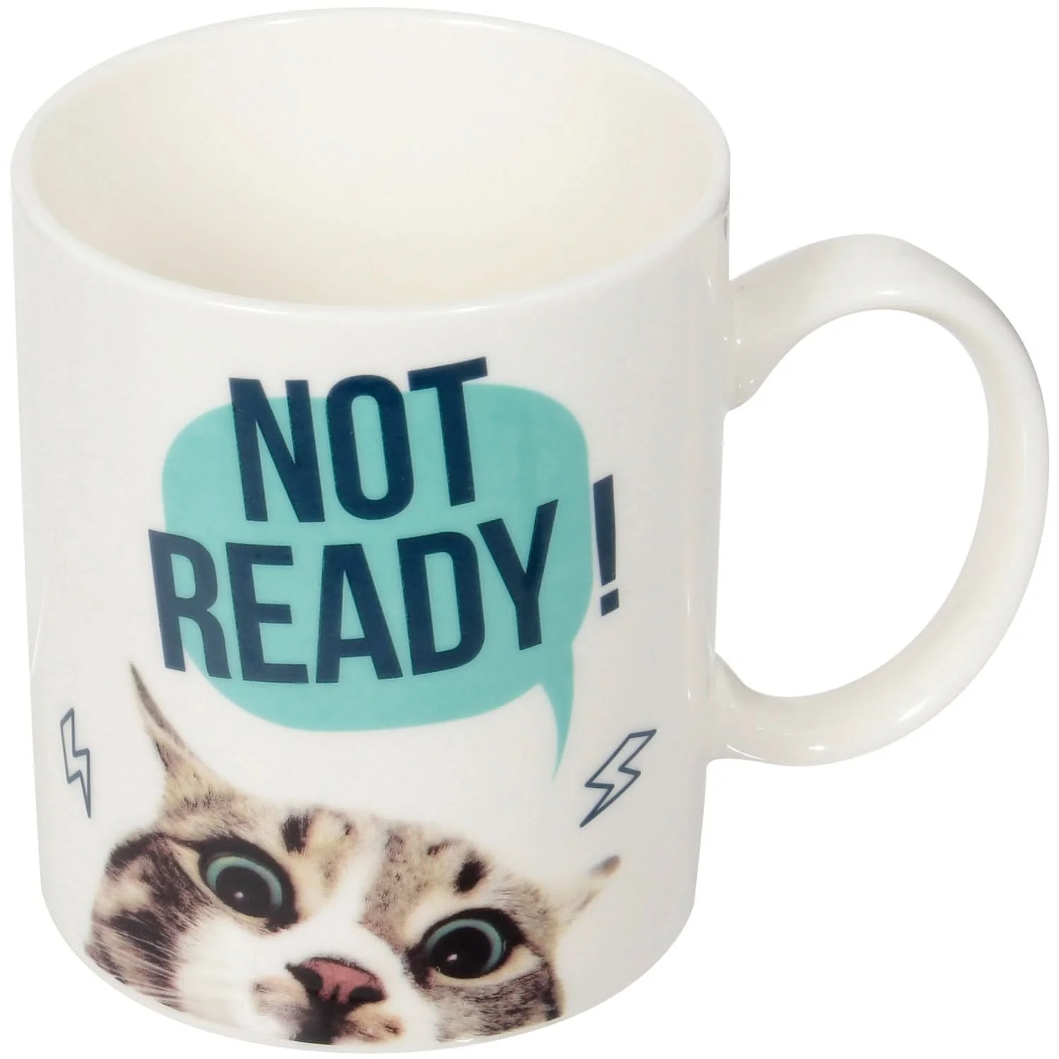 MUG CRAZY ANIMALS READY - Image 3