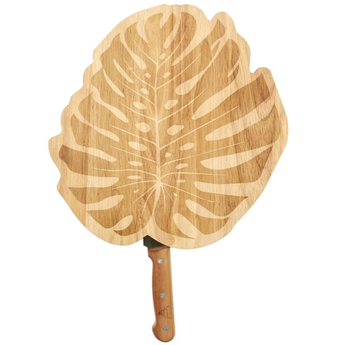 PLANCHE MONSTERA - Image 4